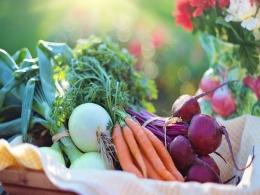 Incubate Fund India leads pre-Series A round in organic food e-tailer