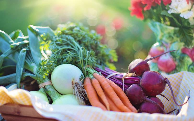 Incubate Fund India leads pre-Series A round in organic food e-tailer