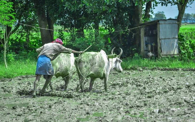 From small businesses to farmers, middle India is driving demand