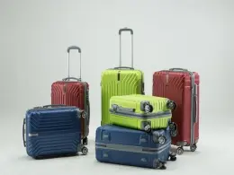 Investcorp to pick up stake in luggage maker Safari