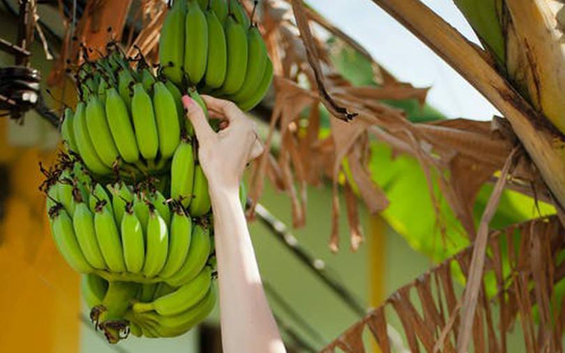 Pioneering Ventures relaunches as Innoterra, adopts platform structure for impact at scale