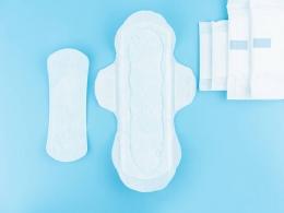 Verlinvest-backed Purplle.com eyes strategic investment in sanitary pad maker