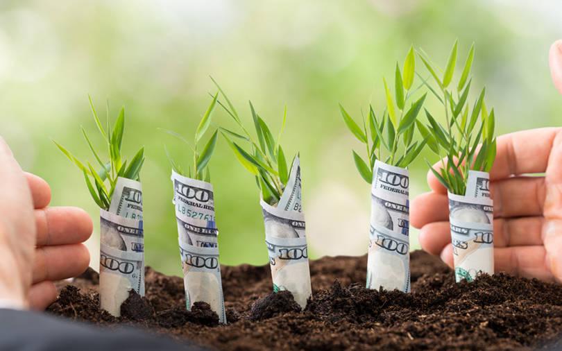How angels swarmed startups and seed investors sowed cash over the years