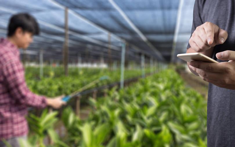 Govt announces 'thematic funds' in sunrise sectors of climate, agri, deeptech