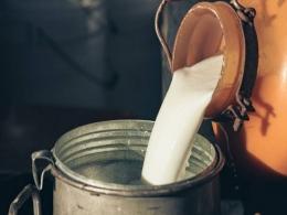 Dairy firm Akshayakalpa secures fresh capital from existing backers