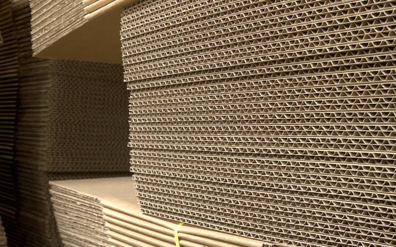 Warburg Pincus backed Parksons Packaging acquires Manohar Packaging