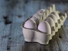 Nabventures, Avaana Capital, others back Eggoz