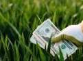 Affirma Capital, Novo Holdings to co-invest in two agrichem companies