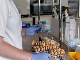 Mfine merges with diagnostics biz of LifeCell, snags $80 mn from OrbiMed