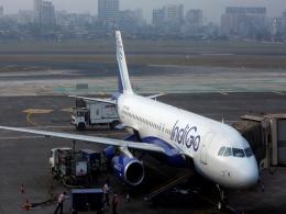 IndiGo's biggest shareholder to offload 2% stake in airline