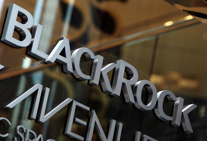 BlackRock's support for ESG themes declines further