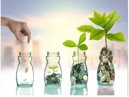 Growth funds explained: Objectives, features, and considerations