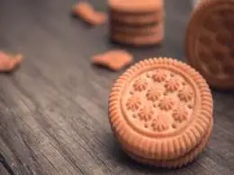 Biscuit maker Anmol Industries files for $188 mn IPO