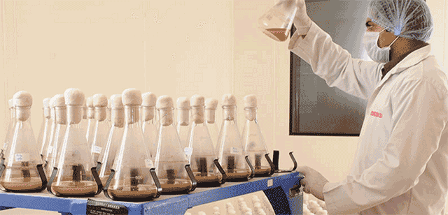 Quadria invests in Rakesh Jhunjhunwala-backed Concord Biotech