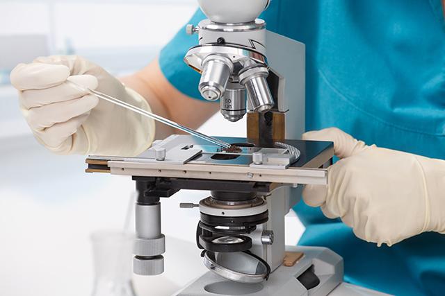 Laurus Labs nets $58 mn from anchor investors