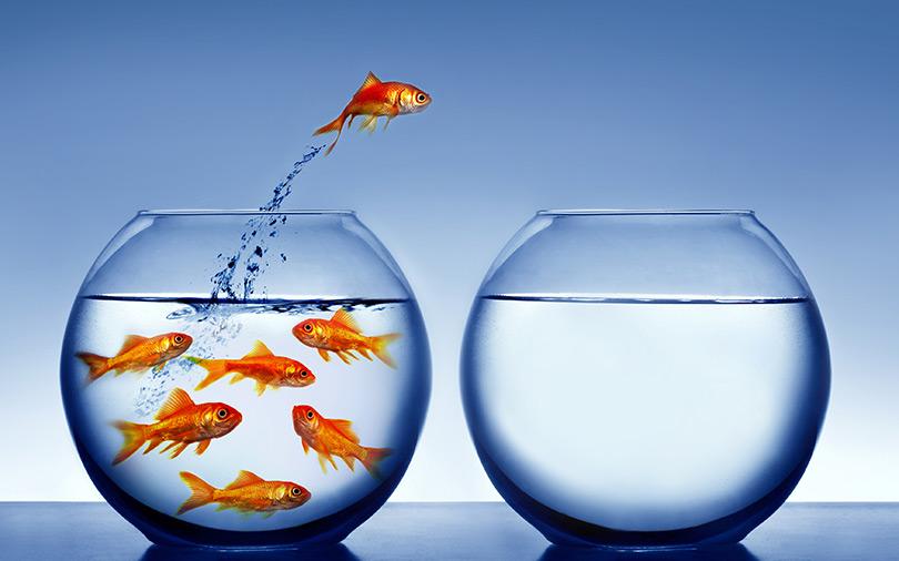 Razorpay hires Ola Money architect Amit Saini as engineering head