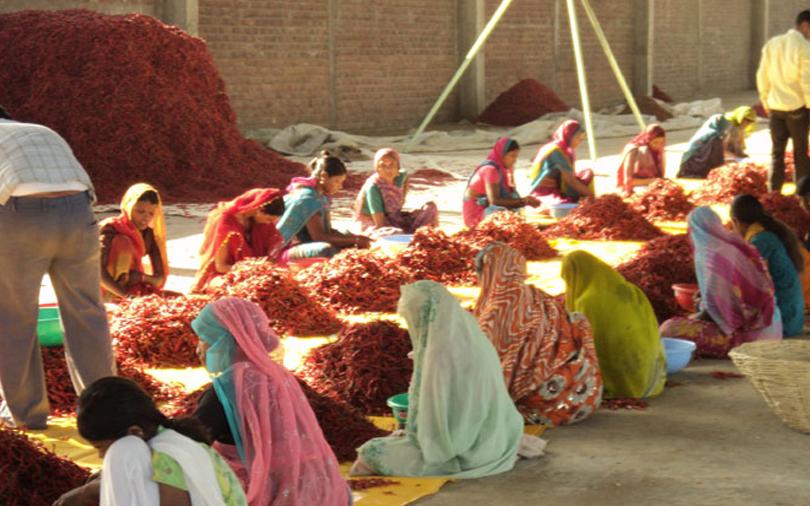 IFC likely to invest $20 mn in organic food exporter Suminter