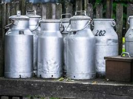 DSG Consumer Partners, Rukam Capital bet on A2 milk startup