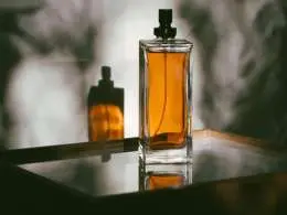 Searchlight: Wild Stone maker's FY25 revenue surges; growth to sustain in FY26